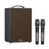 Loa Acnos CS286PRO, Bass 20 cm, Công suất 100W, Bluetooth 5.0, MP3