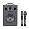 Loa Acnos CS286PRO, Bass 20 cm, Công suất 100W, Bluetooth 5.0, MP3
