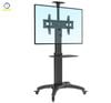 Cột treo tivi di động North Bayou AVF1500 - 50 - 1P