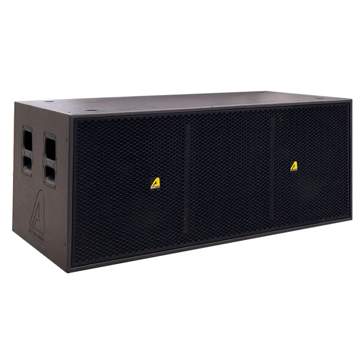 Ảnh minh họa Dàn Âm Thanh Line Array 2 Way Passive Actpro 22 3