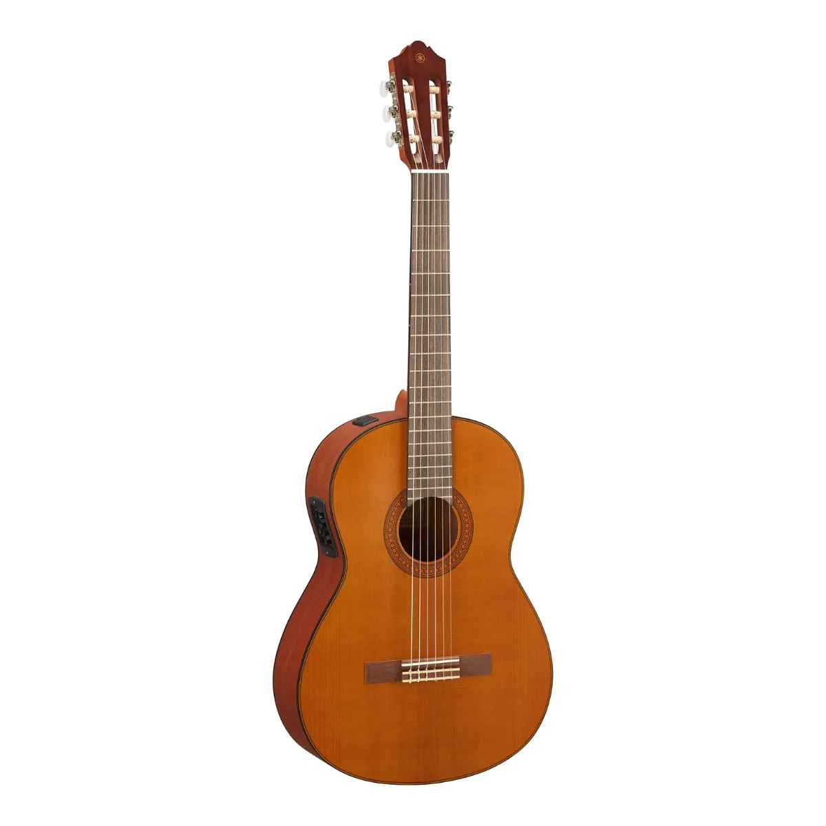 Ảnh minh họa Đàn Guitar Classic Yamaha CGX122MS 1