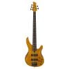 Đàn Guitar Yamaha TRBX605FM