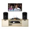 Dàn karaoke Bose HK93 (Bose S1 Pro Plus)