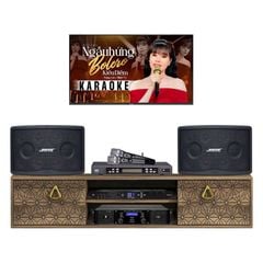  Dàn karaoke Bose KHD63 (Bose 802 Seri V) 