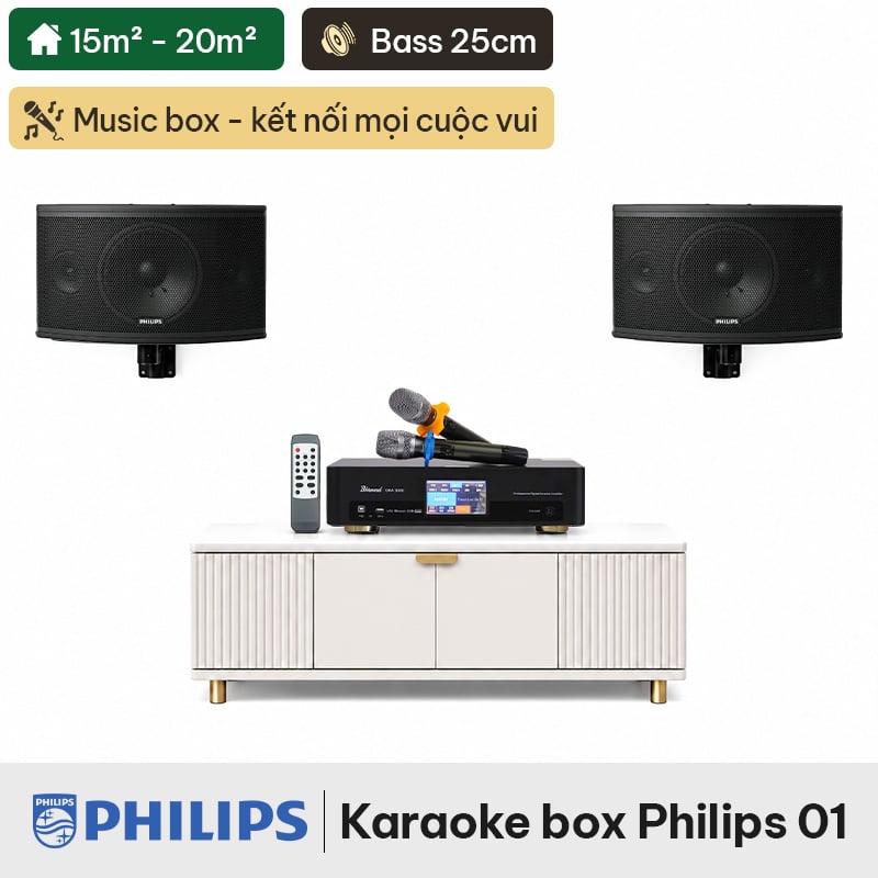 Dàn karaoke box Philips 01 (Philips CSS1308/70, BKSound DKA 5500)