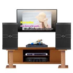  Dàn Karaoke Cao Cấp HDR70 (Whafedale Anglo E10) 