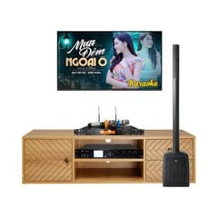  Dàn karaoke Column SK55 (Das Altea Duo-10A, JKAudio B9, X9000 Pro) 