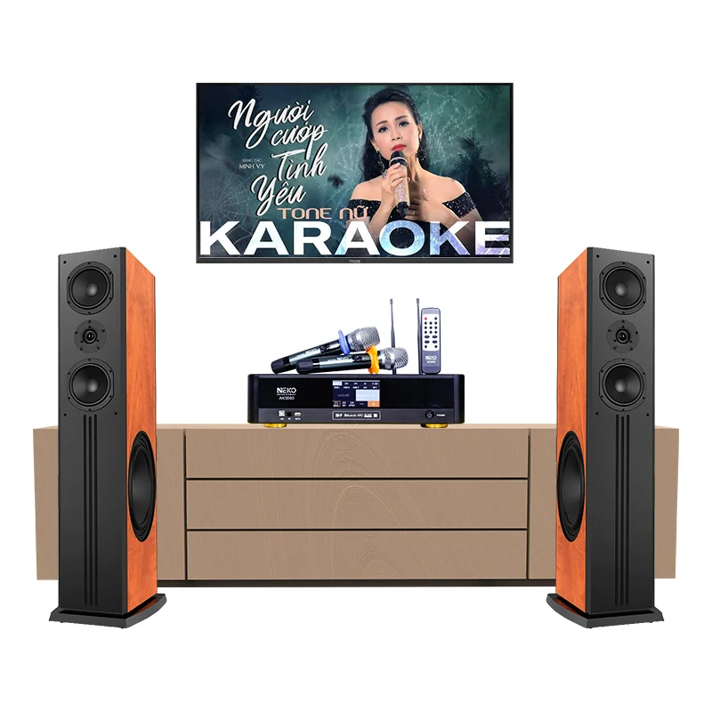 Dàn karaoke gia đình GD15 (Paramax D88 Limited, Neko AK3500)