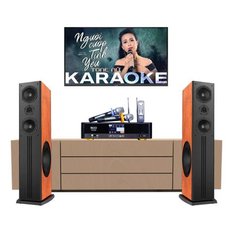 Dàn karaoke gia đình GD15 (Paramax D88 Limited, Neko AK3500)