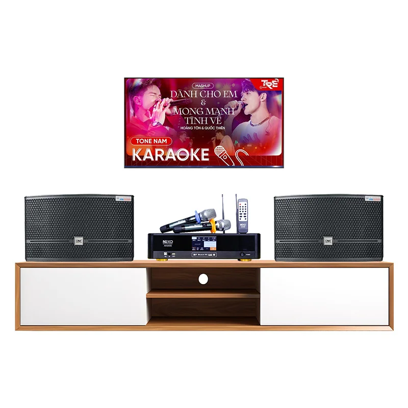 Dàn karaoke gia đình GD157 (CAVS CK10, Neko AK3500)