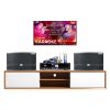 Dàn karaoke gia đình GD157 (CAVS CK10, Neko AK3500)