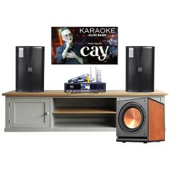  Dàn karaoke gia đình GD36 (Neko NX10, Neko AK3500, sub Paramax D30) 