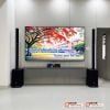 Dàn karaoke gia đình KGD166 (JBL Eon One MK2, JKaudio B9, X9000 Pro)