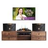 Dàn karaoke gia đình KGD289 (JBL Ki110 Gold Edition)