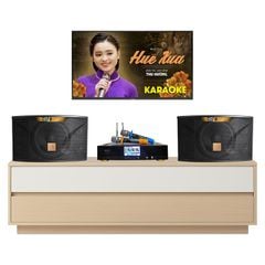  Dàn karaoke gia đình KGD36 (JBL Ki112 Gold Edition, Neko AK3900 Pro) 