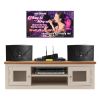 Dàn karaoke gia đình KGD53 (JBL Ki110, Kiwi PD8000, JKAudio K310)