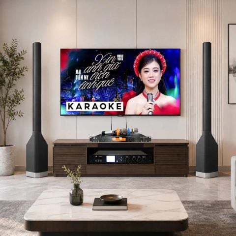 Dàn karaoke gia đình LC29 (LD Systems MAUI P900)