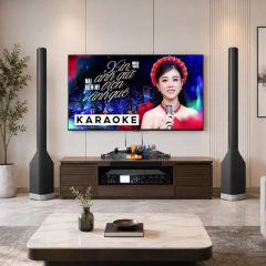  Dàn karaoke gia đình LC29 (LD Systems MAUI P900) 