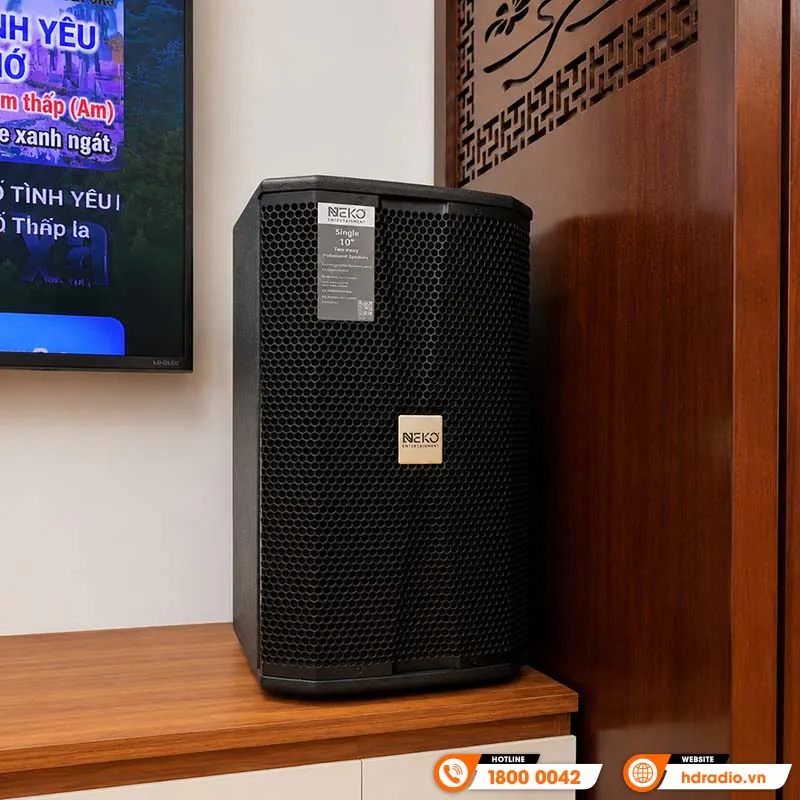 Ảnh minh họa Dàn karaoke KH102 (Neko DA10, AK3500, Paramax D30) 3