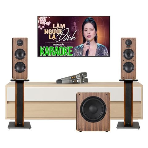 Dàn karaoke mini GD13 (Kadma BS56, Sub Su30, Chân loa KST70)