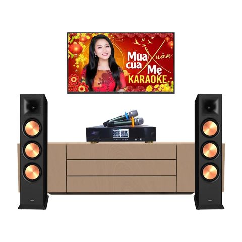 Dàn karaoke Paramax GD146 (Paramax Euro 803 Limited, Neko AK3900 Pro)