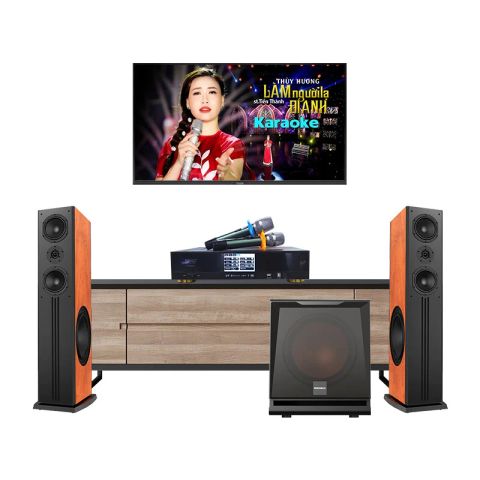 Dàn karaoke Paramax GD151 (Paramax D88 Limited, D30, Neko AK3900 Pro)