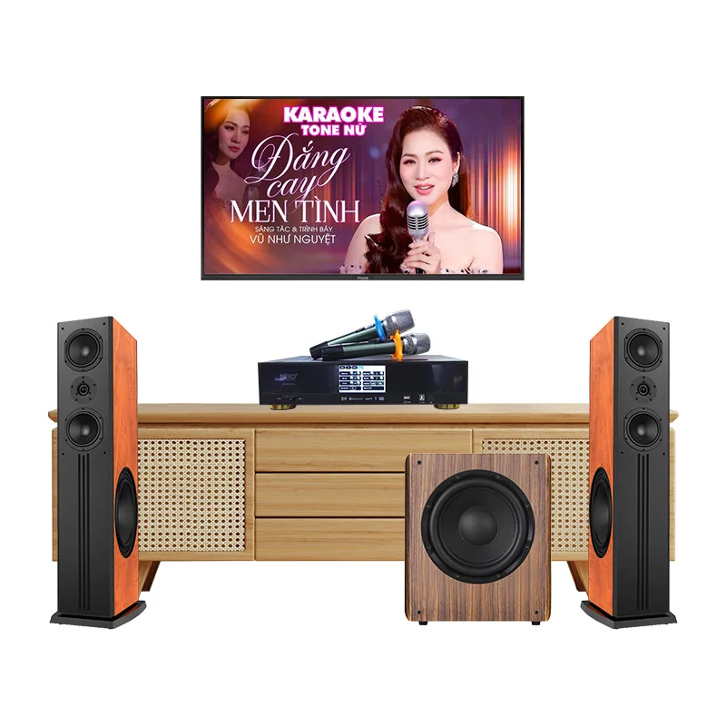 Dàn karaoke Paramax GD152 (Neko AK3900Pro, Paramax D88Limited, Kadma SU30)