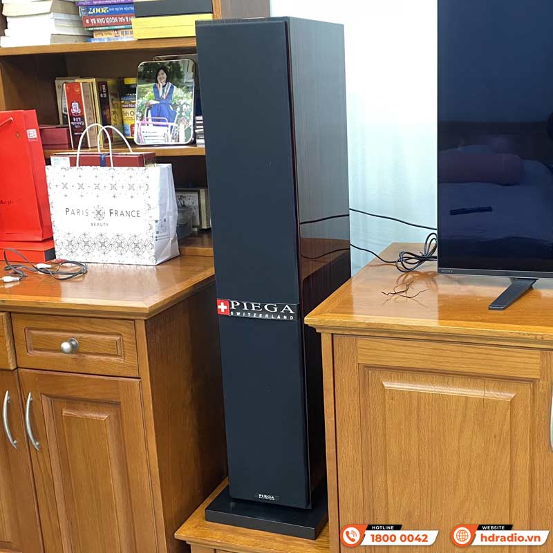 Ảnh minh họa Dàn nghe nhạc Denon NN73 (Piega Classic 5.0, Denon-1700NE) 2