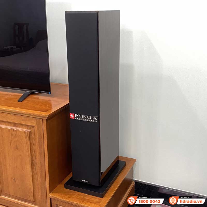 Ảnh minh họa Dàn nghe nhạc Denon NN73 (Piega Classic 5.0, Denon-1700NE) 3