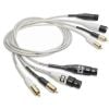 Dây Analysis Plus Silver Apex Interconnects