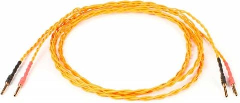 Dây loa Amphion Chord banana