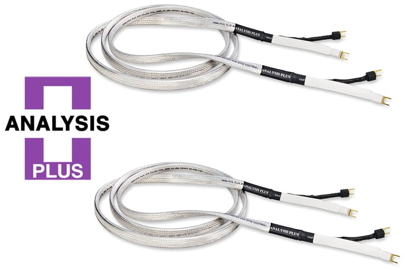 Ảnh minh họa Dây loa Analysis Big Silver Oval 1