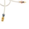 Ảnh minh họa Dây tín hiệu Atlas Element S/PDIF BNC 1