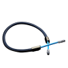 Dây tín hiệu Siltech Royal Double Crown IC