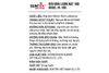 Đèn pha năng lượng mặt trời nhôm SUNTEK RL-300