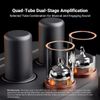 Desktop AMP Kiêm Preamp Fosi GR70