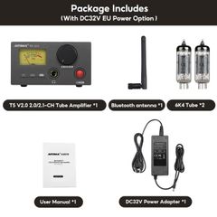  Desktop Bluetooth DAC/AMP AIYIMA T5 V2 