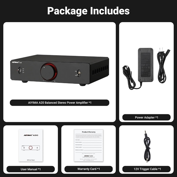 Ảnh minh họa Desktop Speaker AMP AIYIMA A20 1