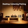 Desktop Tube PREAMP AIYIMA T20