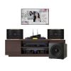 Dàn karaoke gia đình KGD209 (JBL Pasion 12)