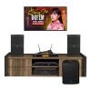 Dàn Karaoke Cao Cấp HDR48 (Whafedale Anglo E10)