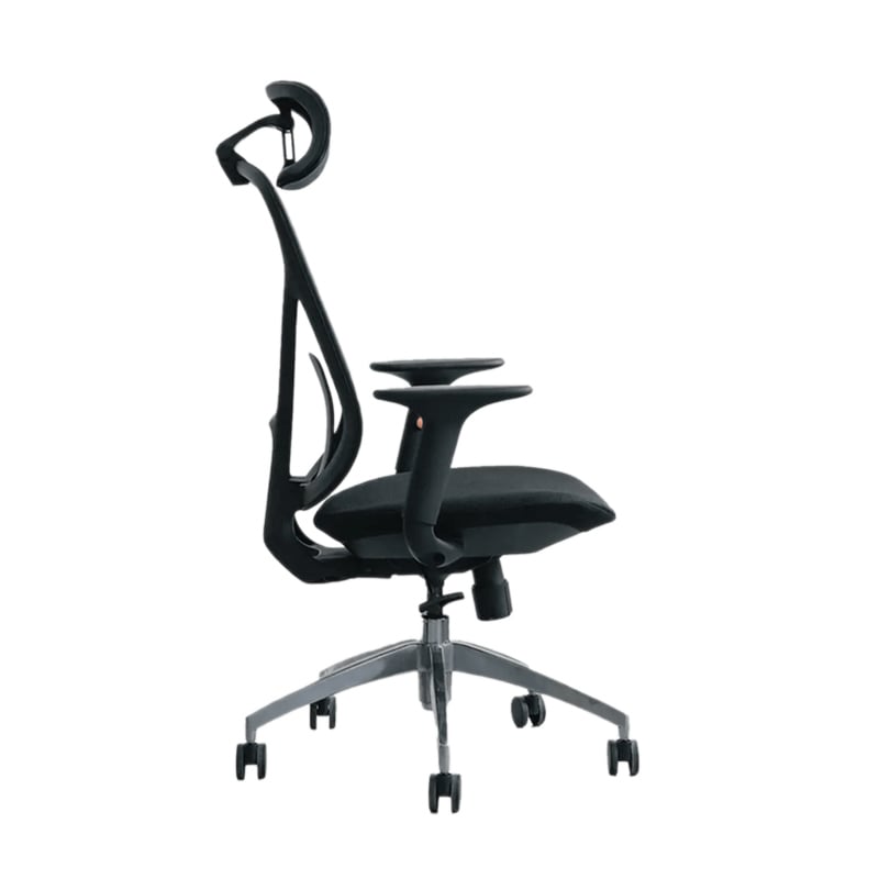 Ảnh minh họa Ghế công thái học Epione ElysChair All Black | Lưng lưới, Kèm tựa đầu, Đen 1