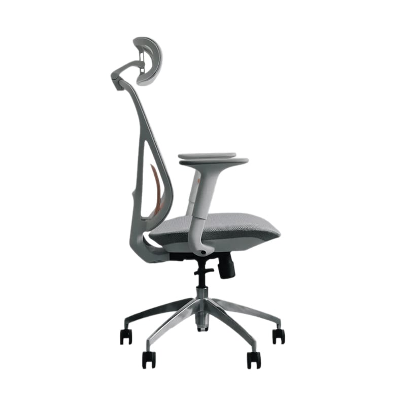 Ảnh minh họa Ghế công thái học Epione ElysChair Cool Gray | Lưng lưới, Kèm tựa đầu, Xám 2