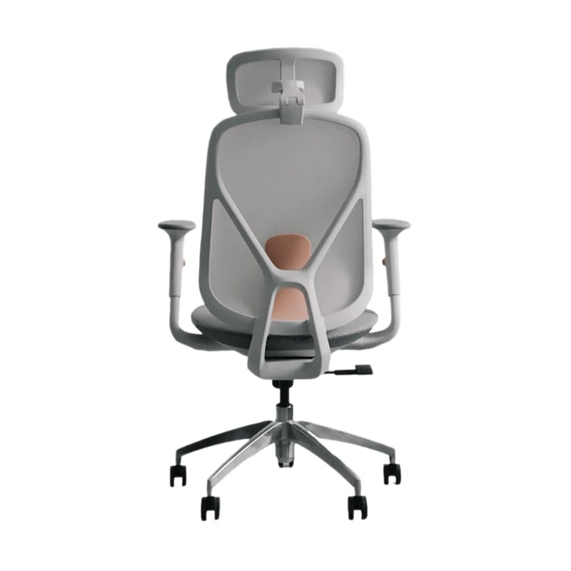 Ảnh minh họa Ghế công thái học Epione ElysChair Cool Gray | Lưng lưới, Kèm tựa đầu, Xám 3