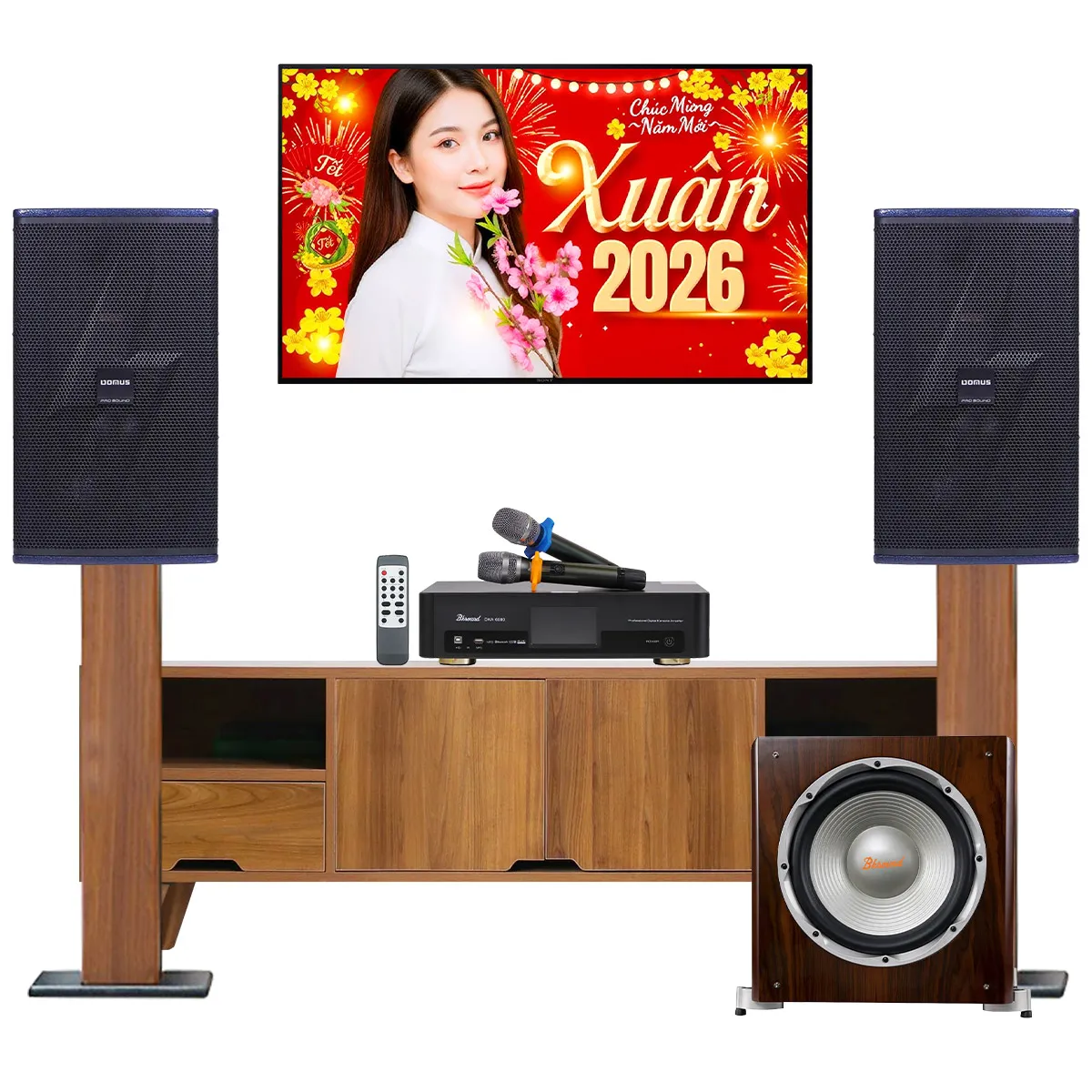Ảnh minh họa Dàn karaoke gia đình Domus 21 (Domus DP-6210 MAX, Bksound DKA 6500, Bksound SW512) 1