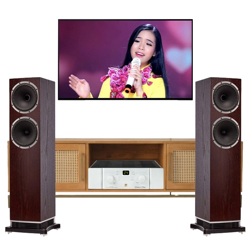 Dàn nghe nhạc cao cấp Fyne Audio 08 (Fyne Audio F502, Unison Research Unico Due)
