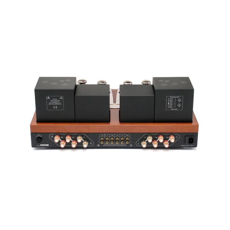 Ảnh minh họa Amply Unison Research Performance (Dual Mono, Class A, Công suất 45W, 6 bóng 6550, 4 Line) 2