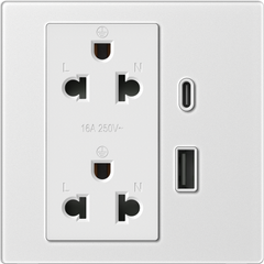  Module Ổ cắm đôi 3 chấu chuẩn Âu Mỹ 16A kèm sạc USB và type C màu 