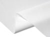 Màn chiếu Elite Screens Designer Cut ImpactWhite A4K RM-6.6X12-IPWA4K