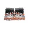 Amply Unison Research Performance (Dual Mono)